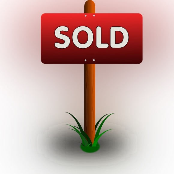 House of Harlow 1960 Jewelry - House of Harlow 1960 Bean Necklace